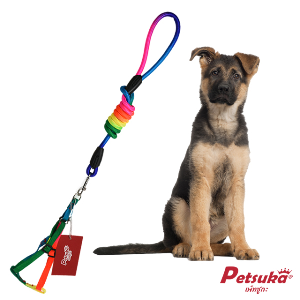 Petsuka Pet Harnesses Rainbow Color Size S