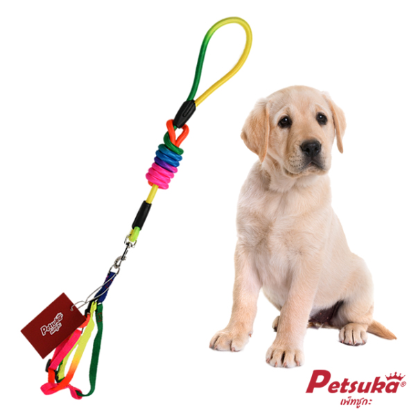 Petsuka Pet Harnesses Rainbow Color Size M