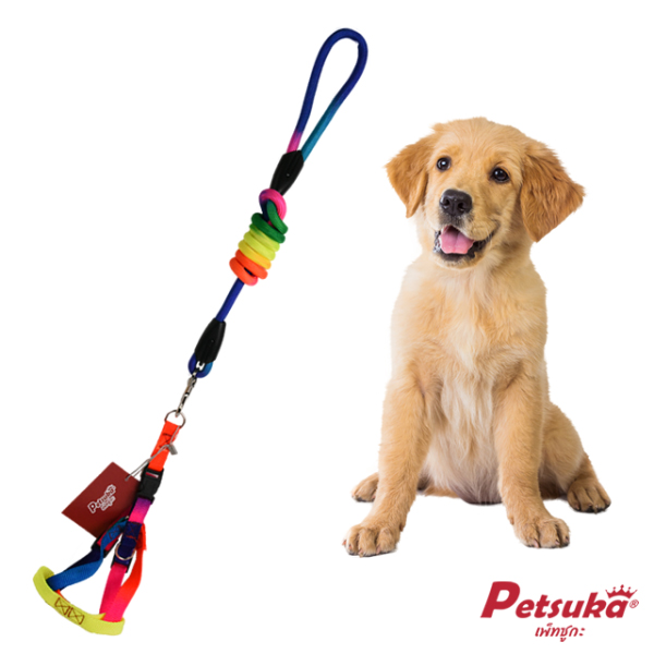 Petsuka Pet Harnesses Rainbow Color Size L