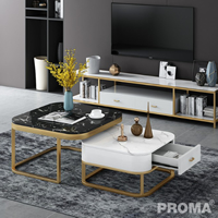 Nordic Marble Combination Luxury Modern Coffee Table
