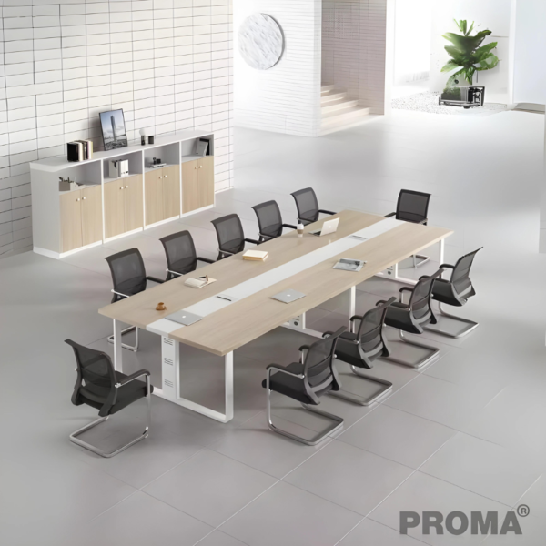 лЪ䫹 çҴ˭ ͧѺ 10-12  Proma-CT10