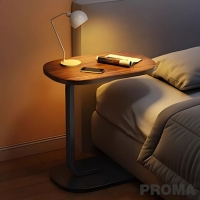Тҧ ҴзѴѴ Proma-RTB-01