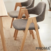 ˹ѧ 䫹 ҹͿ  Proma-M-9