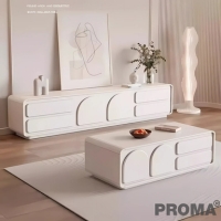 Luxury Modern multifunctional TV Cabinet Coffee Table